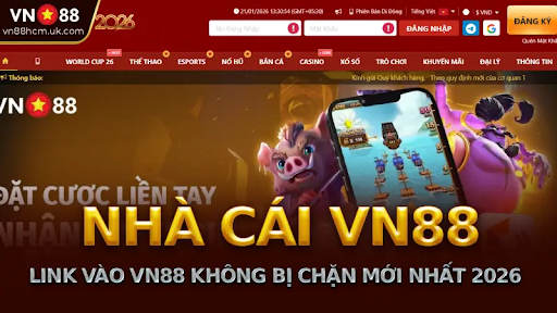 Vì Sao Người Mới Cá Cược Bóng Đá Thường Thua?